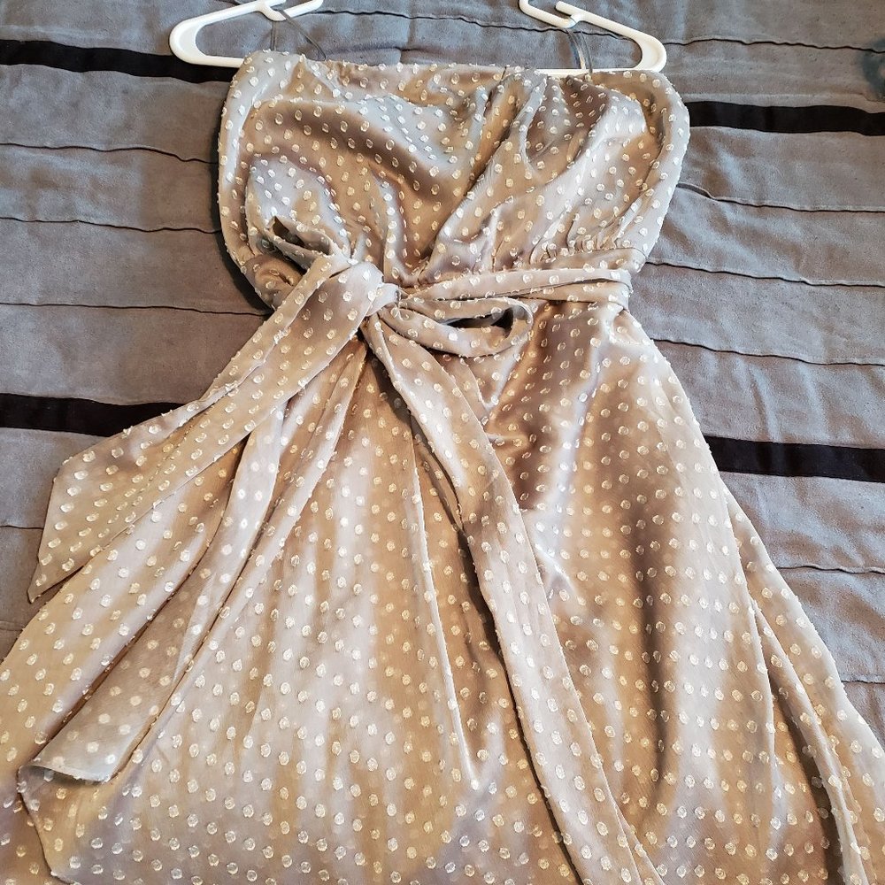 Express Strapless Champagne Dress